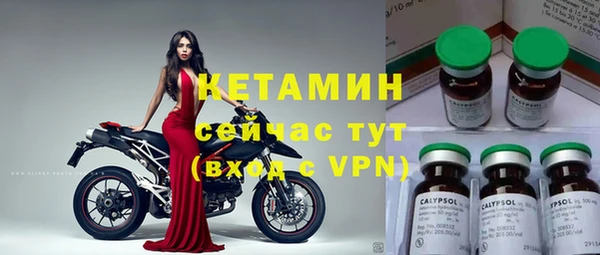 a pvp Дмитриев