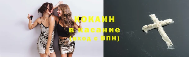 PSILOCYBIN Ельня